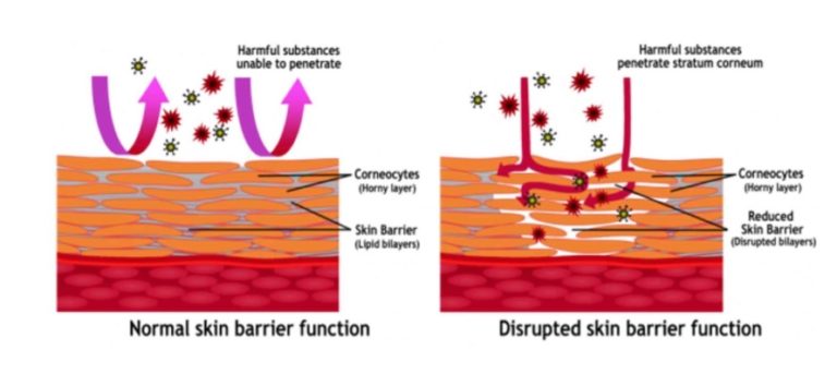 What is Corneotherapy? - CleanSkins